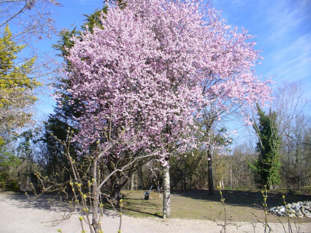 Chambre D'Hotes Dyrslot Bed & Breakfast Saint-Denis-de-Pile Luaran gambar